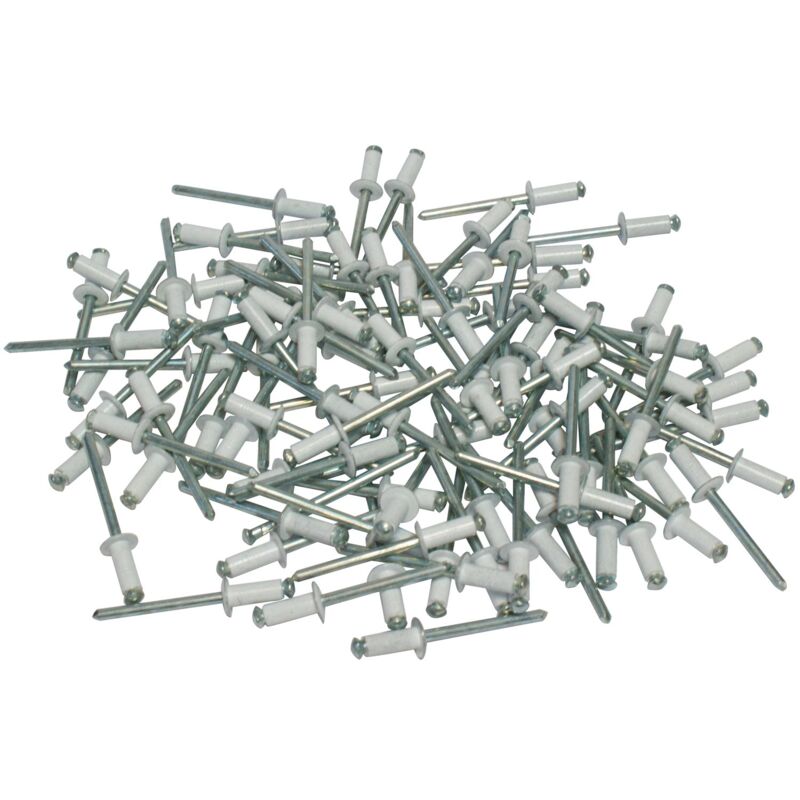 foto del prodotto 000116016 kit 100 rivetti fissaggio targa, bianco cora