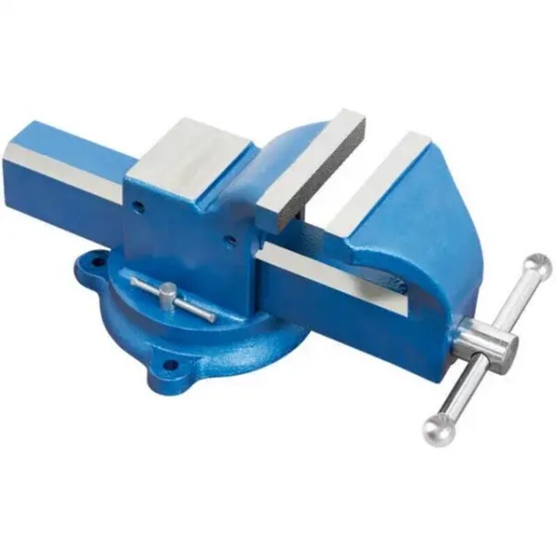 foto del prodotto 0036 125g morsa girevole in acciaio 124 mm fervi
