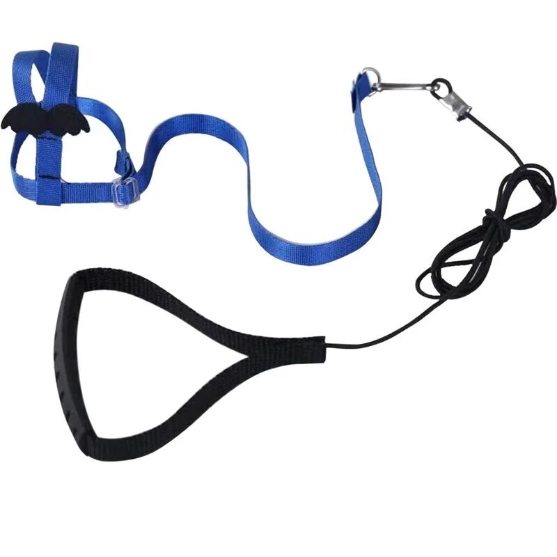 foto del prodotto 1 pz blu imbracatura regolabile per pappagalli guinzaglio per animali domestici corda anti morso cinturino elastico adatto per uccelli parrocchetti