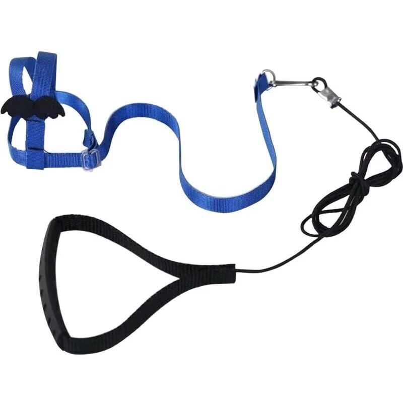 foto del prodotto 1 pz blu imbracatura regolabile per pappagalli, guinzaglio per animali domestici, corda anti morso, cinturino elastico per uccelli, pappagallo,