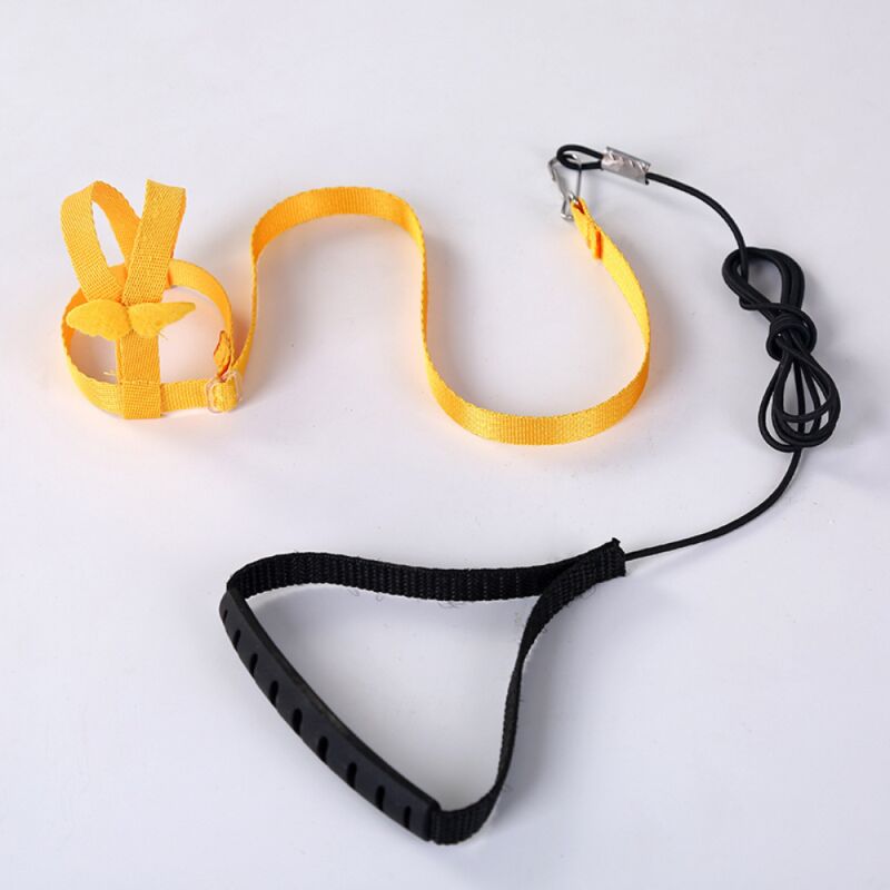 foto del prodotto 1 pz giallo imbracatura regolabile per pappagalli guinzaglio per animali domestici corda anti morso cinturino elastico per uccelli pappagallo