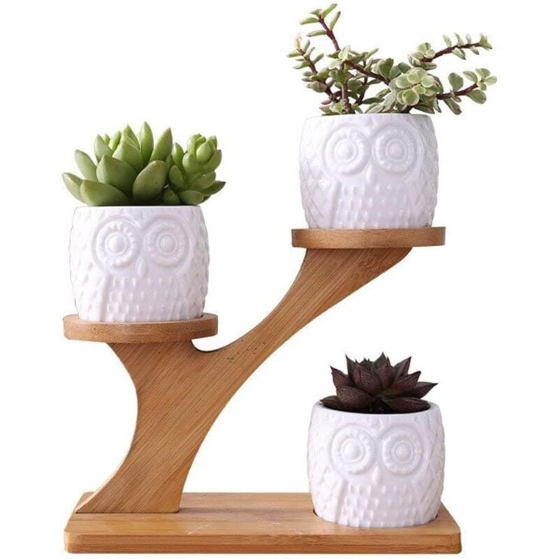 foto del prodotto 1 set di vasi da fiori rotondi in ceramica a forma di gufo e vassoio in bamb vasi per cactus piante in vaso coltiva 1 confezione da 3