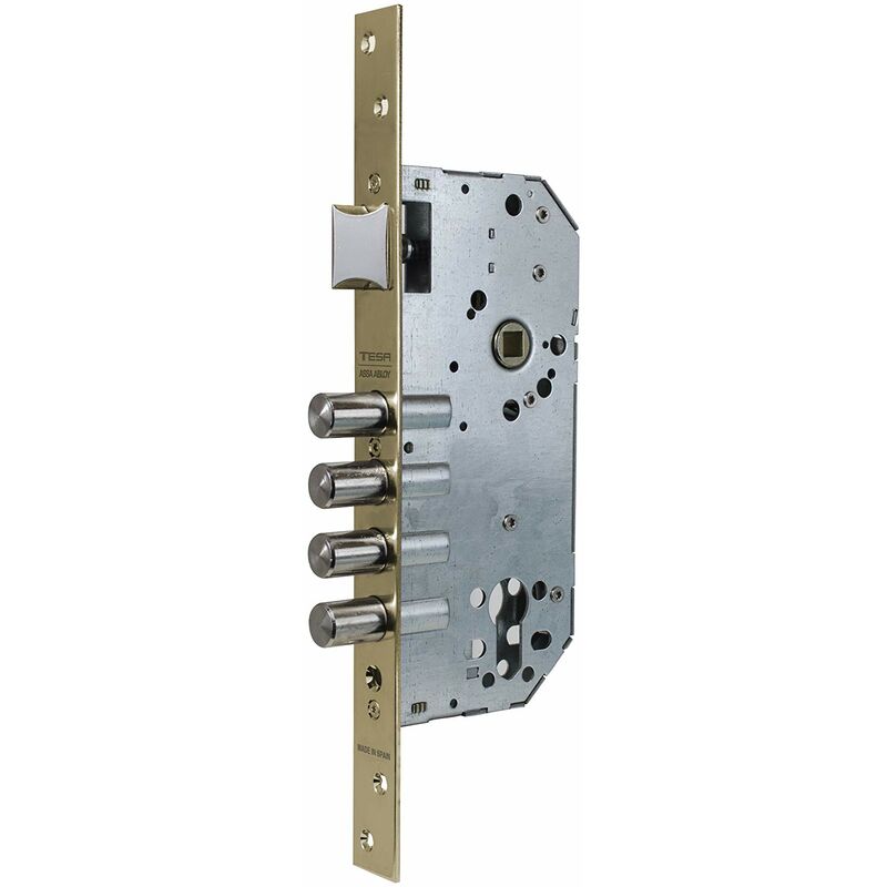 foto del prodotto 1 tesa r100b e50 senza cil.ae, smaltato tesa assa abloy