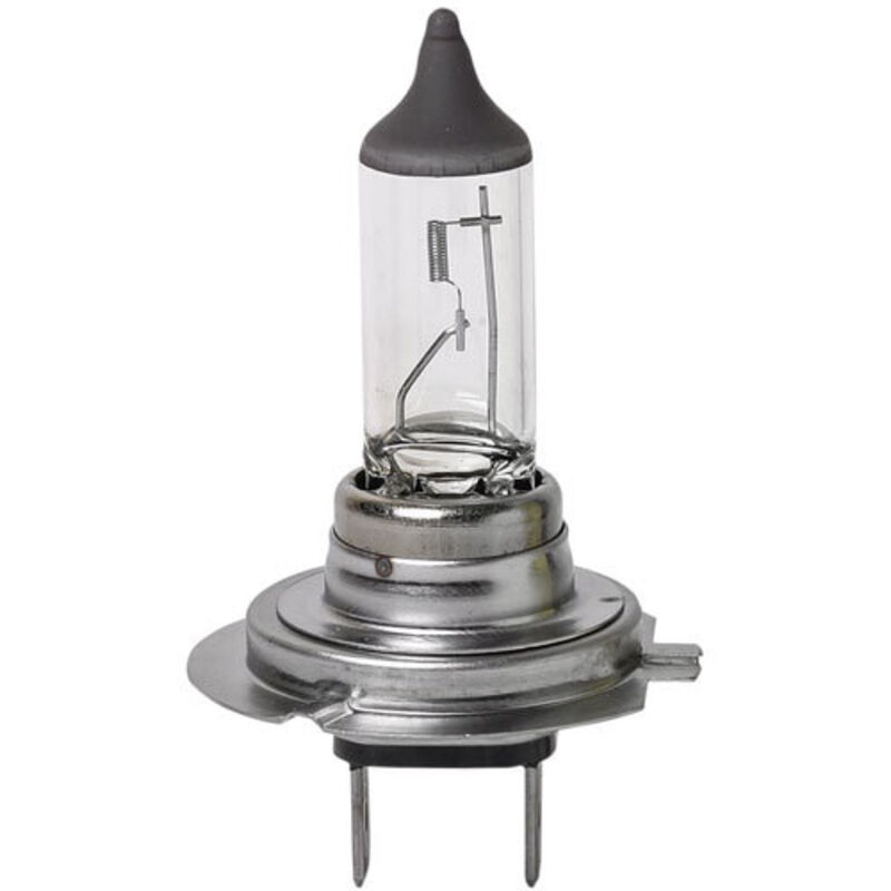 foto del prodotto 10 lampadine h7 12 volt 55 watt