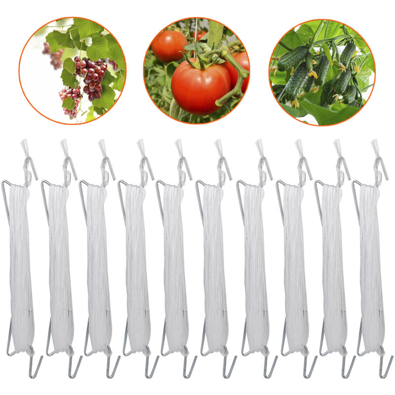 foto del prodotto 10 pezzi ganci per pomodori con corda, serre per pomodori e cetrioli per altre verdure