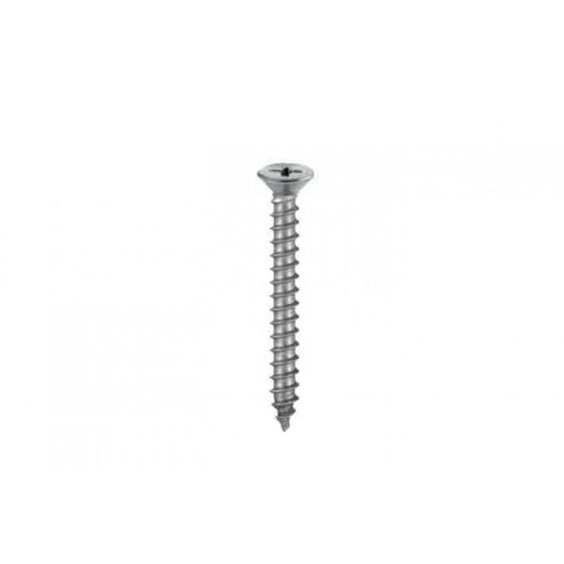 foto del prodotto 10 viti autofilettanti testa piana svasata inox 4,5x38mm.