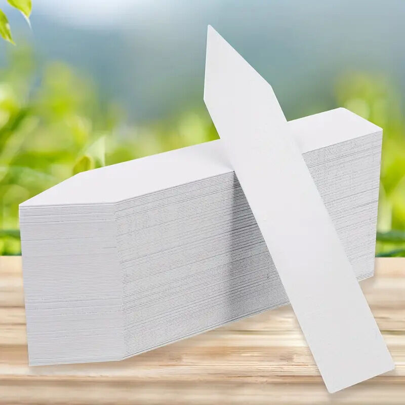 foto del prodotto 100 etichette in plastica per piante, etichette da giardino in plastica bianca 10x2 cm sollbry