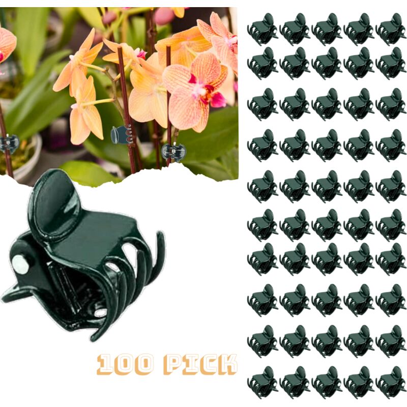 foto del prodotto 100 pezzi clips de support plante,clips pour plantes grimpantes,clips orchideen,clips attache tuteur,jardin clips de fixation plante en plastique,pour plantes,fleurs-orchidée style