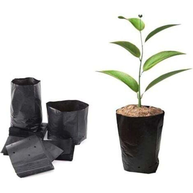 foto del prodotto 100 sacchetti di plastica spessa per vivai di piante, per piantare frutta e fiori, piantine, piante da giardino, con fori traspiranti, 812 cm