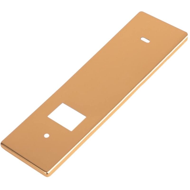 foto del prodotto 10278 placca per avvolgitore, oro, 14,2 cm schellenberg