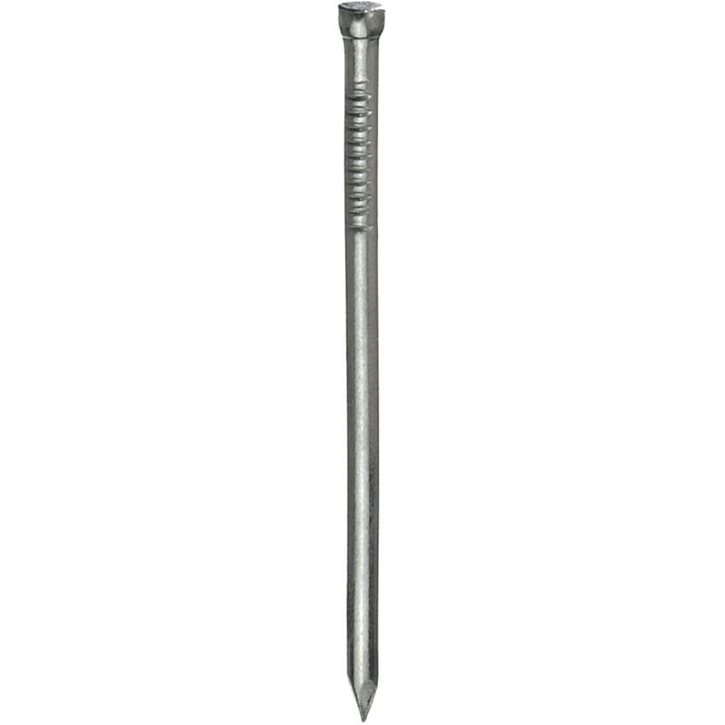 foto del prodotto 110gr chiodi con testa a gruppino ricalcati e zincati 1,4x25mm