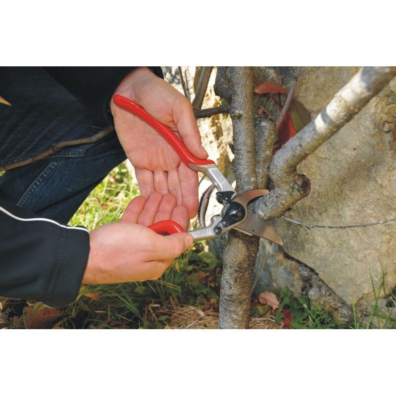 foto del prodotto 13 forbici da potatura taglio 30 mm, forbici da potatura per mani piccole grandi, forbici da potatura per vite lunghezza 270 mm, manico