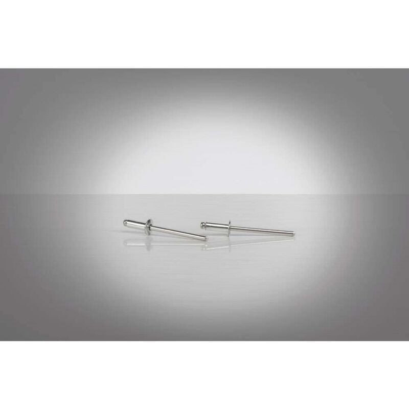 foto del prodotto 1454638 rivetto acciaio acciaio 500 pz. gesipa