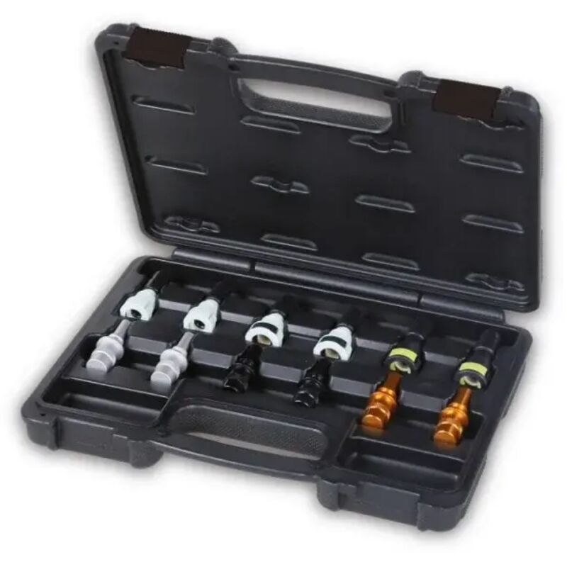 foto del prodotto 1481t c12 kit tappi di chiusura linee carburante 6 pz. beta