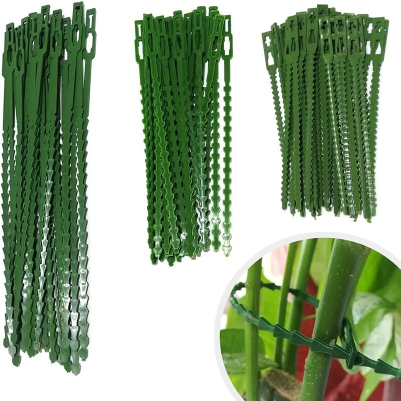 foto del prodotto 150 pezzi di legacci per piante, legacci regolabili per giardinaggio, legacci e supporti per piante, aiutano a sostenere piante e arbusti, legacci