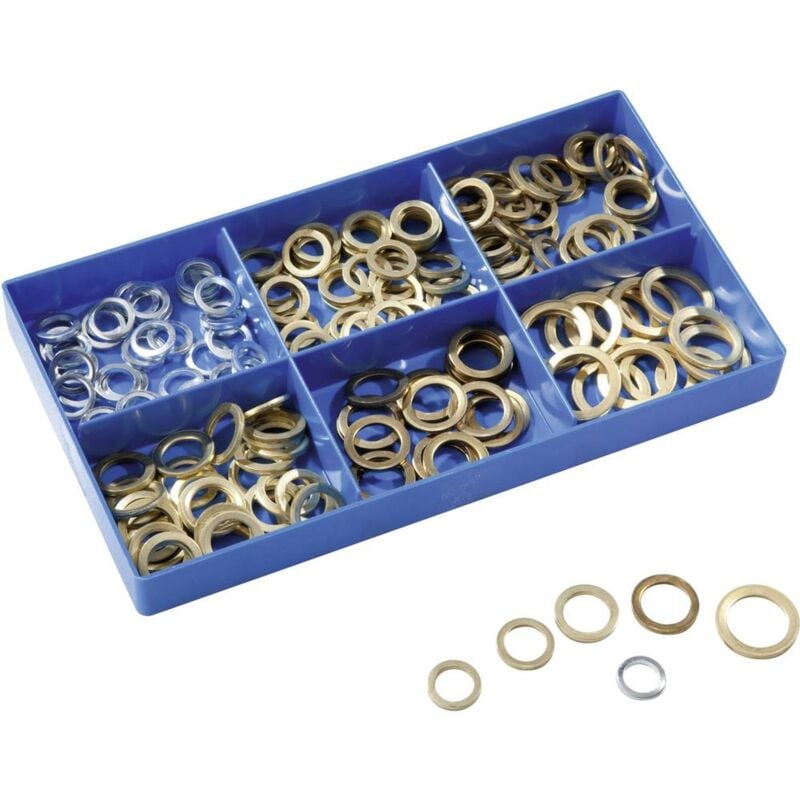 foto del prodotto 17009 kit di rondelle contenuto 186 parti