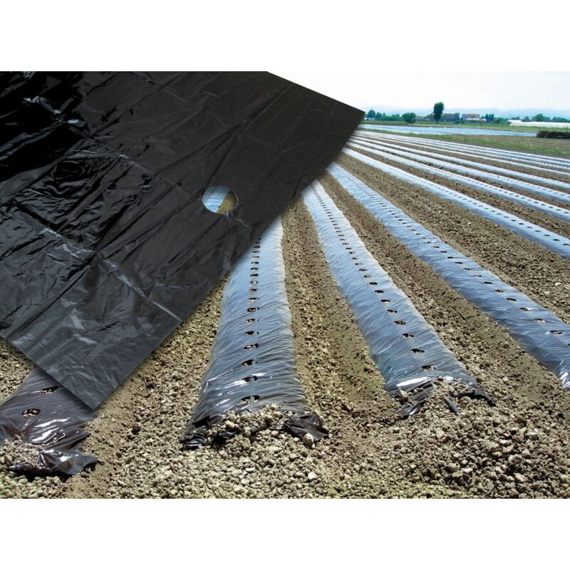 foto del prodotto 1rotolo telo pacciamatura fori centrali distanza fori cm20 h. cm120 rotolo mtl 30