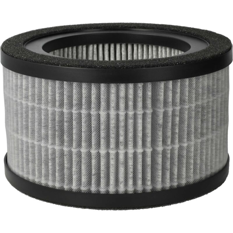 foto del prodotto 1x filtro aria compatibile con beurer lr 220 purificatore d'aria - filtro combinato prefiltro hepa carbone attivo - vhbw