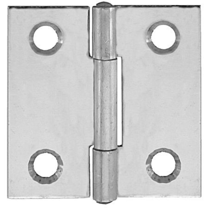 foto del prodotto 2 cerniere piane strette acciaio inox 60x34mm masidef