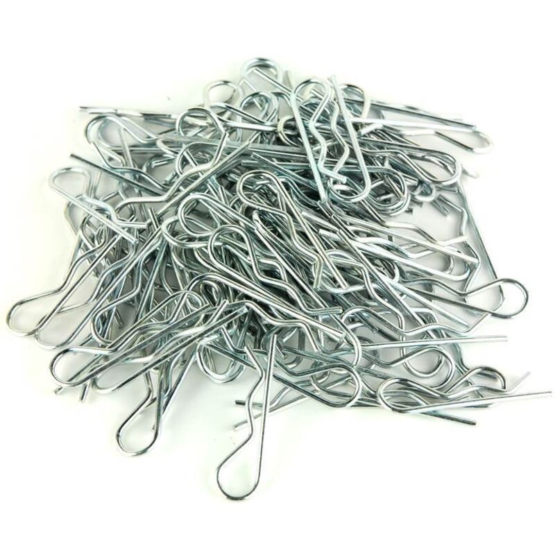 foto del prodotto 2 mm spine betas sacco di 100 spine