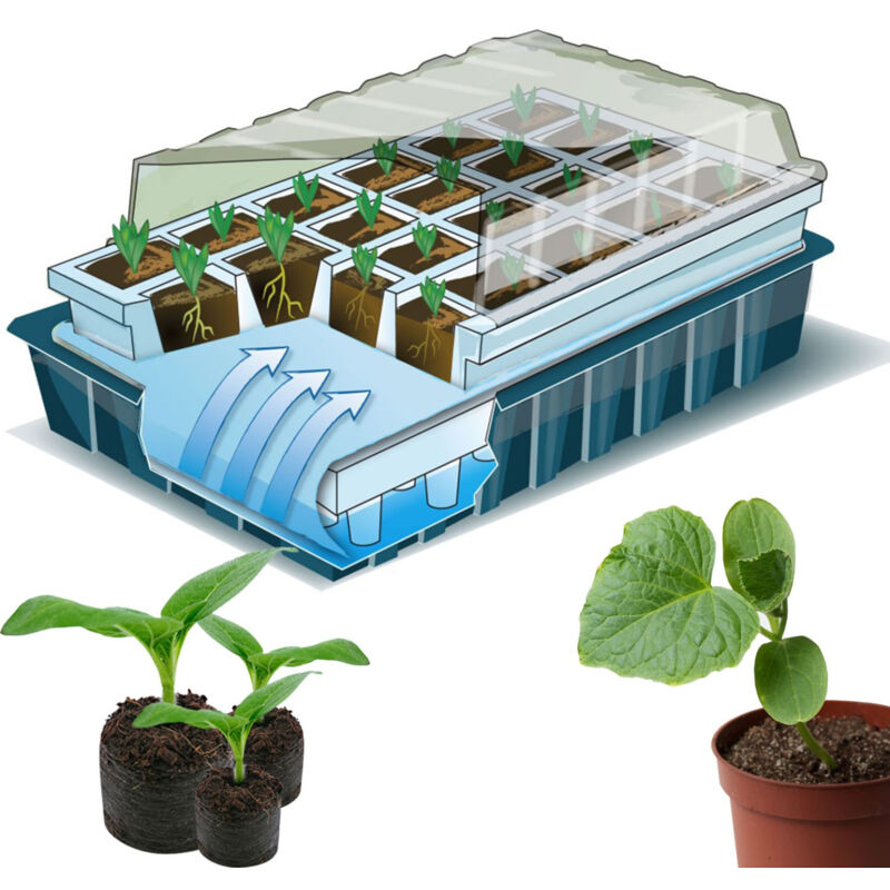 foto del prodotto 2 pezzi di vassoi per 40 semi con coperchi vassoio di avviamento per piantine, kit di germinazione delle piante