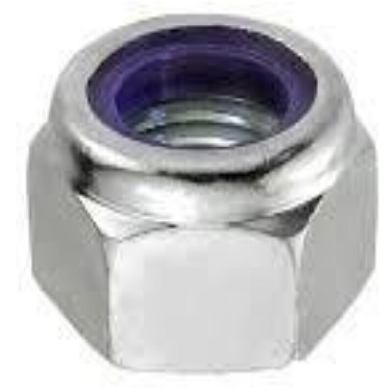 foto del prodotto 20 dadi autobloccanti inox m3