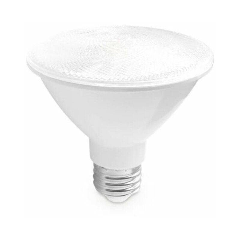 foto del prodotto 200620001 lampadina led par30 13w e27 3000k ip65 gsc