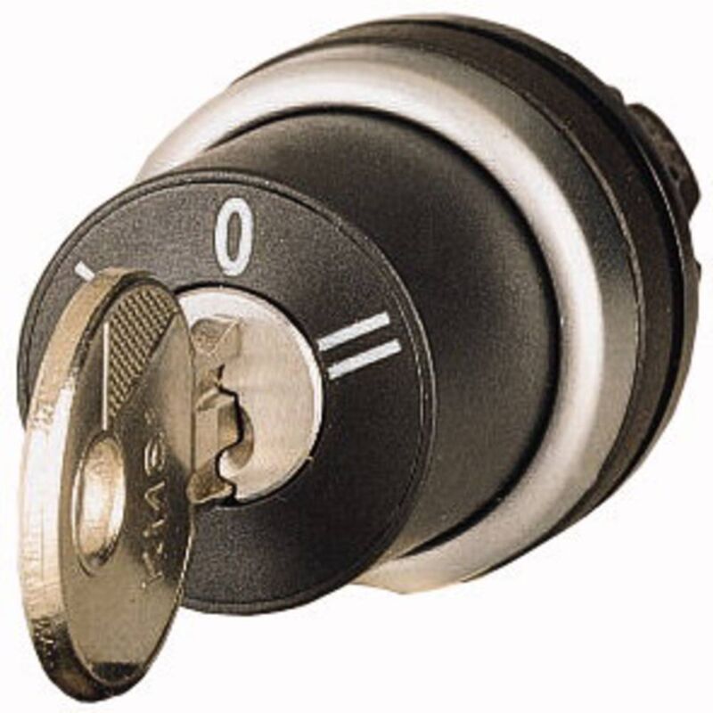 foto del prodotto 216894 m22 ws3 interruttore nero 2 x 40 1 pz. eaton