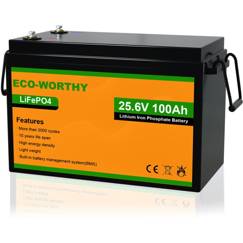 foto del prodotto 24 v 100 ah lifepo4 batteria al litio ricaricabile con oltre 3000 cicli profondi e protezione bms per impianti solari, camper, barche, case, kit di