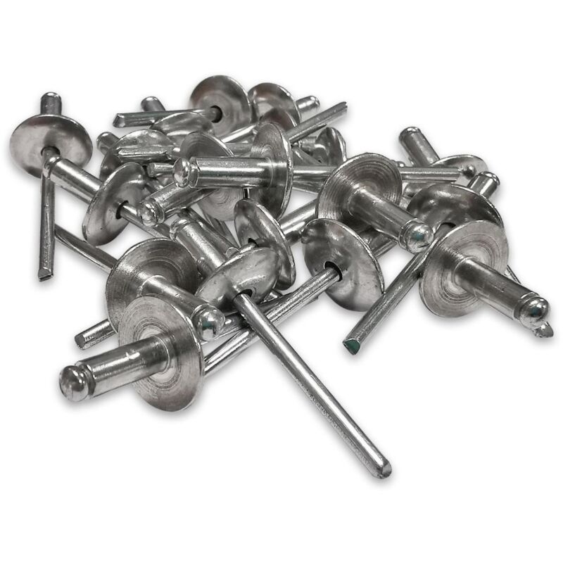 foto del prodotto 250 rivetti in acciaio extra larghezza 16 mm testa 4,8 x 12