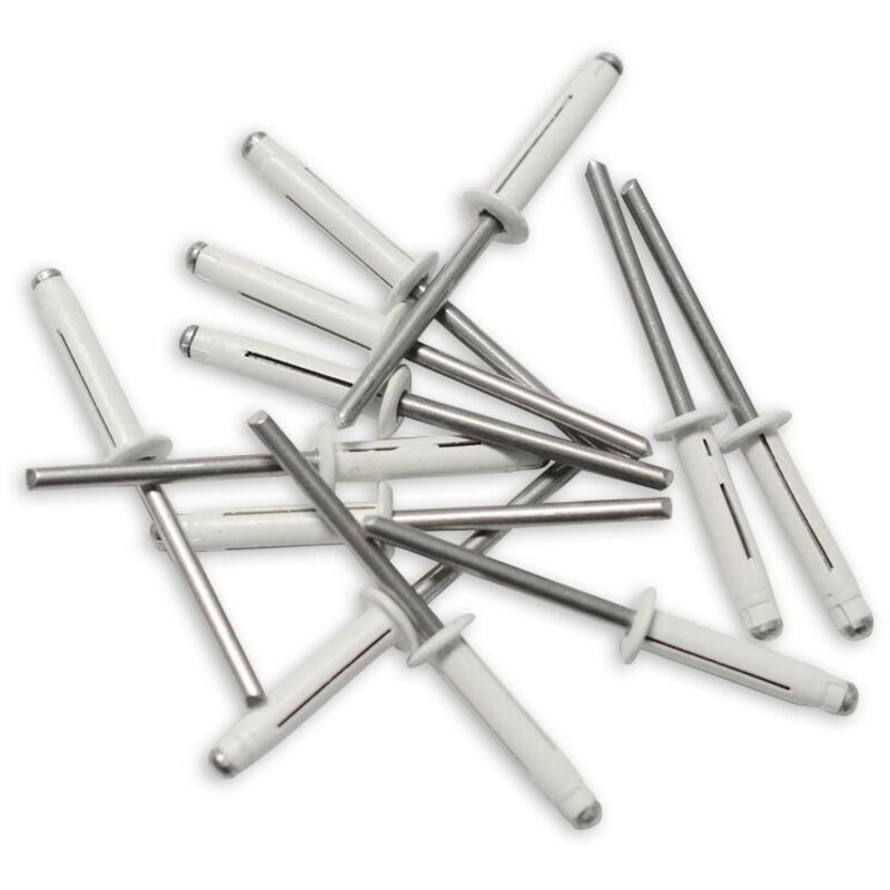 foto del prodotto 250 rivetti trigrip bianchi 4,8 x 22 per plausole minerali