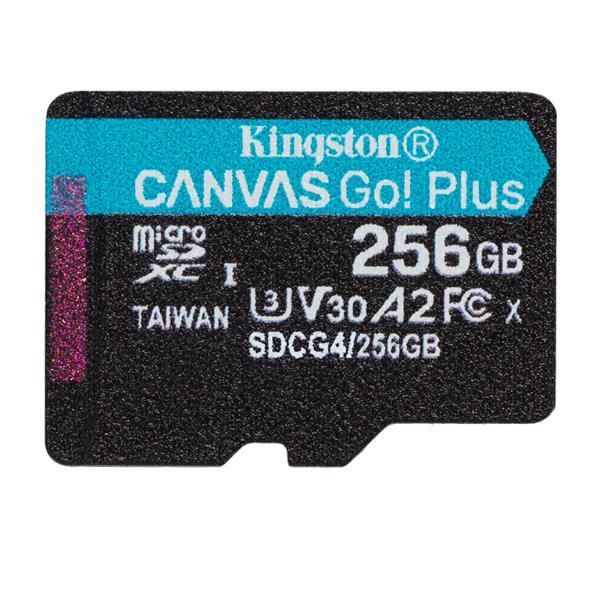 foto del prodotto 256gb microsdxc canvas go plus gen4