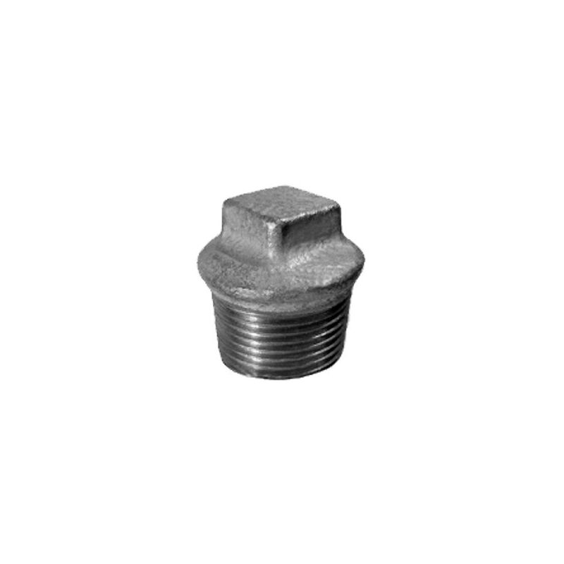 foto del prodotto 290 tappo maschio 1 1 2 in ghisa zincata 29025007