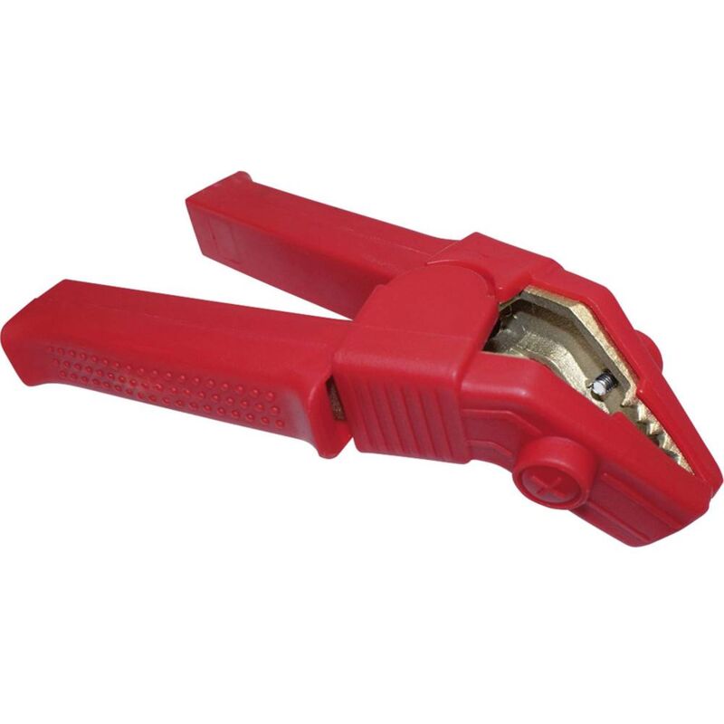 foto del prodotto 29245 polo a pinza polo positivo 1 pz. apa