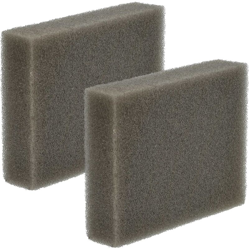 foto del prodotto 2x filtro compatibile con leifheit regulus aqua powervac aspirapolvere filtro in spugna vhbw