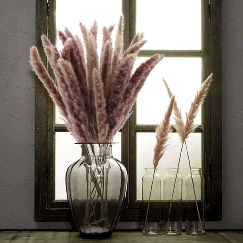 foto del prodotto 30 pezzi confezione naturale essiccato erba della pampa fascio per la decorazione della casa colore originale