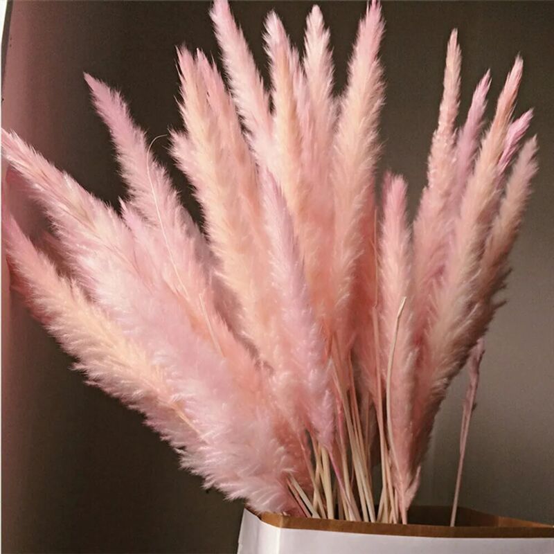 foto del prodotto 30 pezzi fiori secchi naturali rose fai da te pampas erba phragmites decorazione per feste domestiche