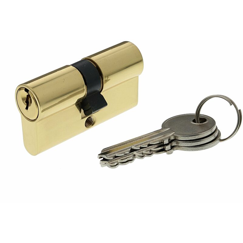 foto del prodotto 30101 cilindro di serratura doppio ingresso securipro dimensione 30 30 mm in ottone bricard