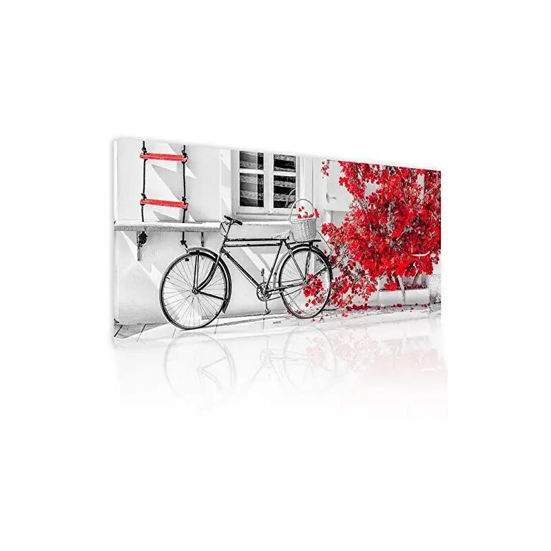foto del prodotto dipinto astratto su tela pictures bike bouganville red 52x122cm