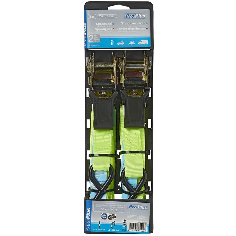 foto del prodotto 320204 cinghia di fissaggio con tenditore a cricchetto e 2 ganci, 5 m proplus
