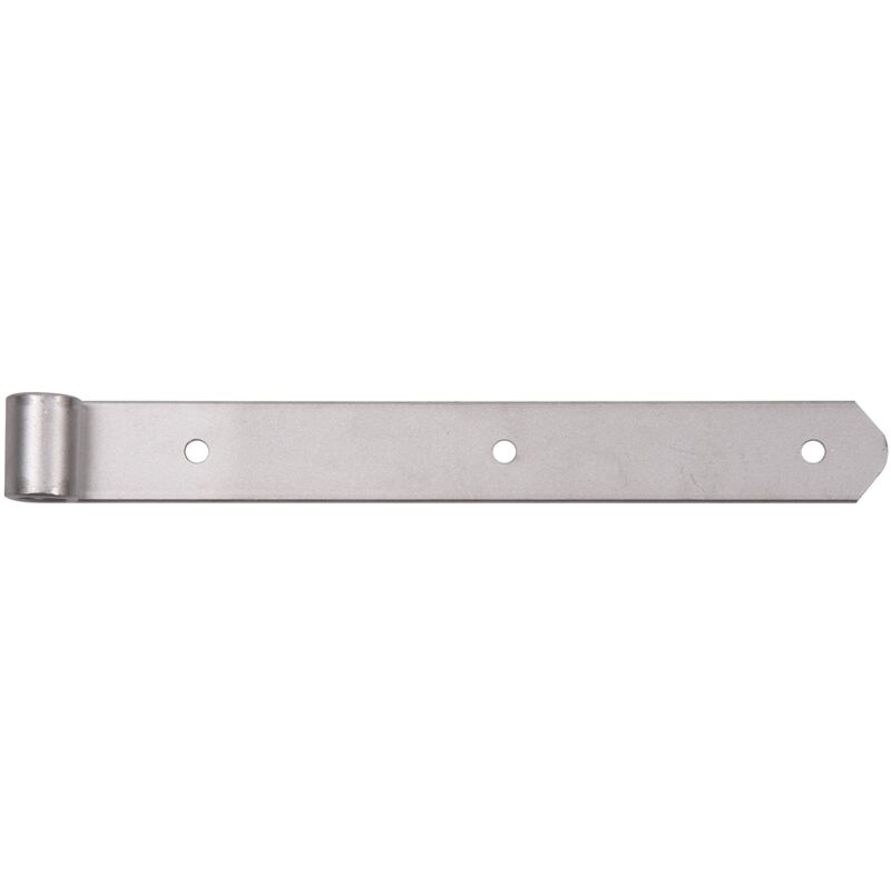 foto del prodotto 340834 bandella, in diverse versioni, acciaio inox, cilindro 16 mm, misura 300 x 35 mm alberts
