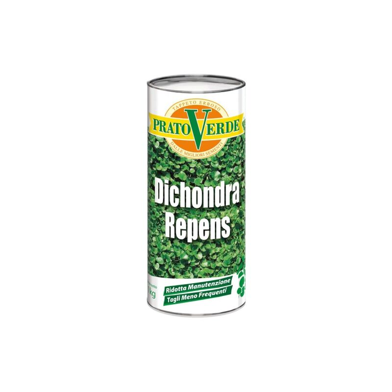 foto del prodotto prato verde dichondra repens semi sementi prato per tappeti erbosi 500 gr 500 gr