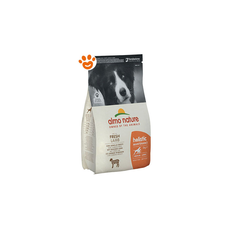 foto del prodotto dog holistic mantenimento adult medium large agnello dog holistic mantenimento adult medium large agnello sacco da 2 kg almo nature