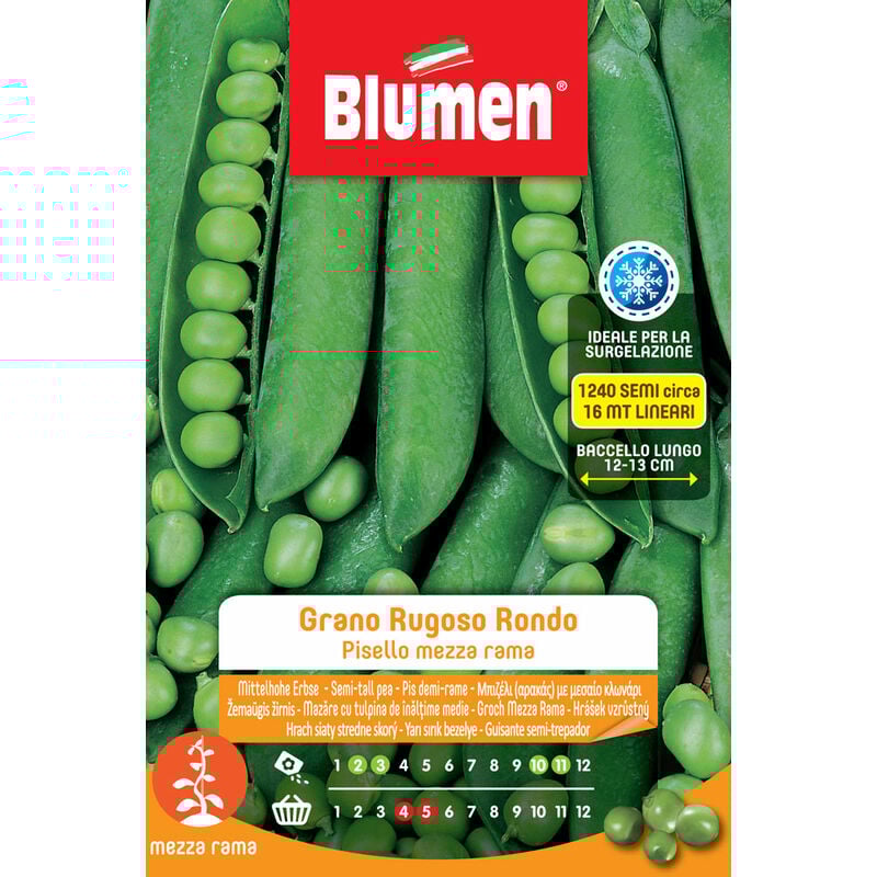 foto del prodotto semi di piselli mezza rama grano rugoso rondo blumen
