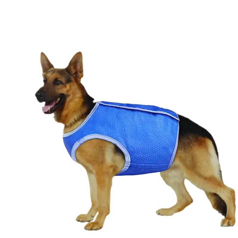 foto del prodotto abito vestito pettorina rinfrescante refrigerante per cane taglia l fino a 85 cm