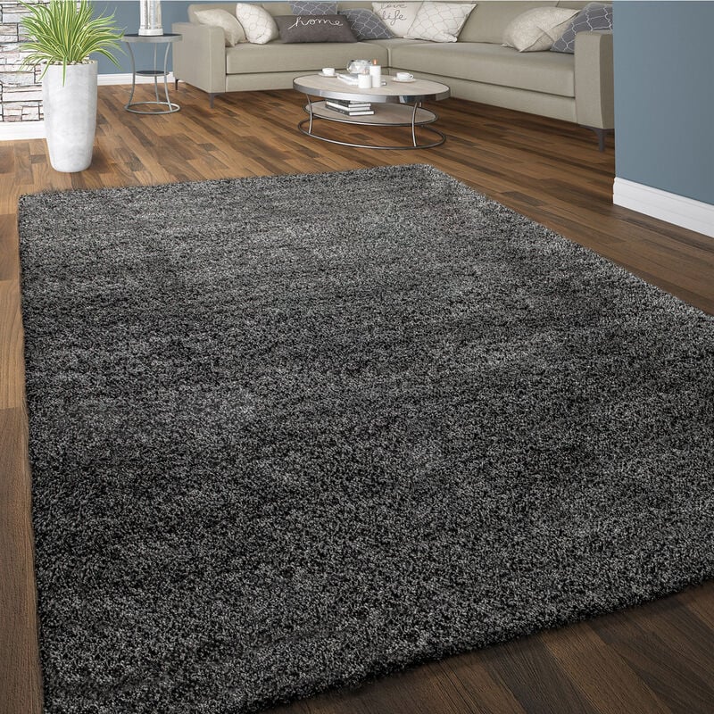 foto del prodotto paco home tappeto salotto pelo lungo tappeto shaggy morbido monocolore grigio scuro 60x115 cm