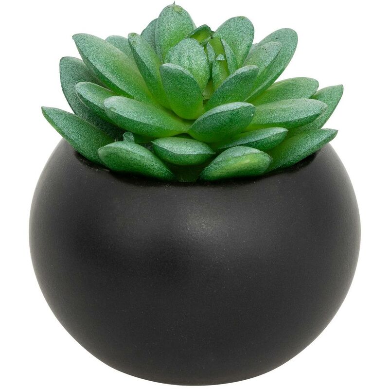 immagine 0 del prodotto atmosphera pianta grassa in vaso h13 mod le h noir cr ateur d int rieur