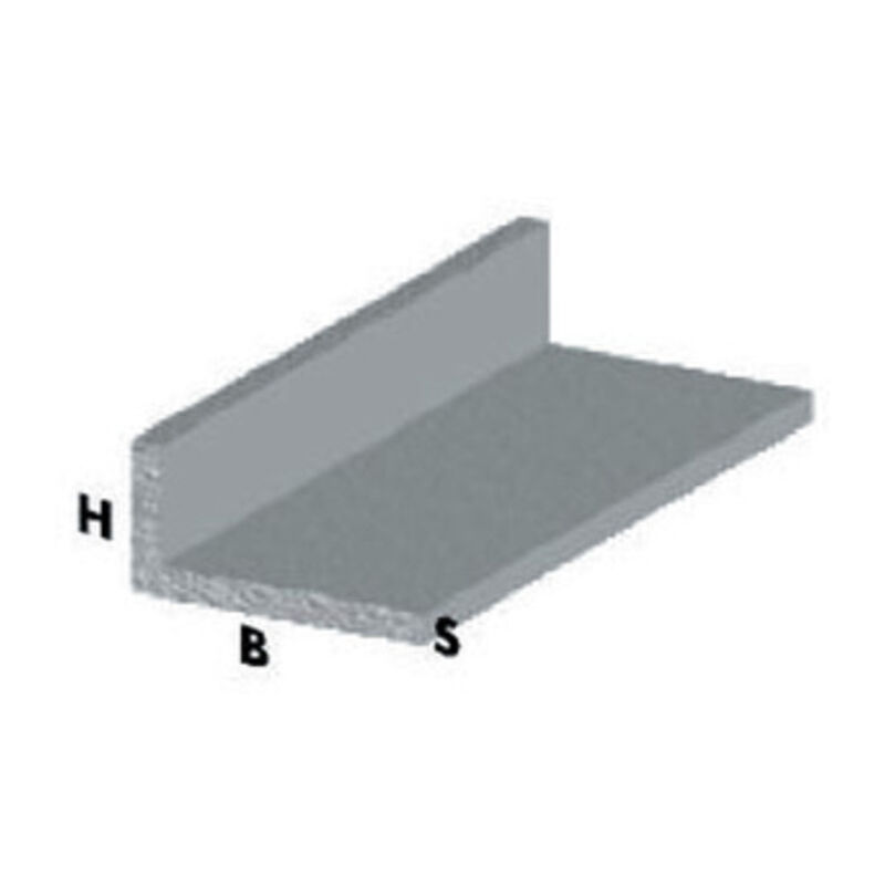 immagine 0 del prodotto profilo argento h.100 elle 15x10x1. prezzo per 1 pezzo.