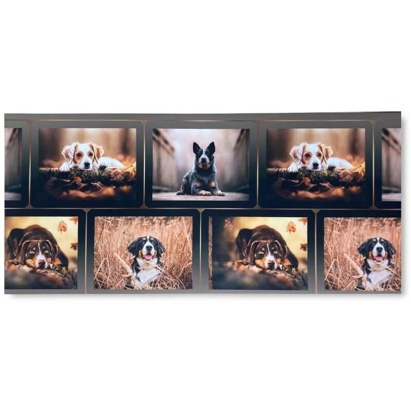 foto del prodotto tappeto runner da cucina passatoia antiscivolo cane cani made in italy cm. 50x220