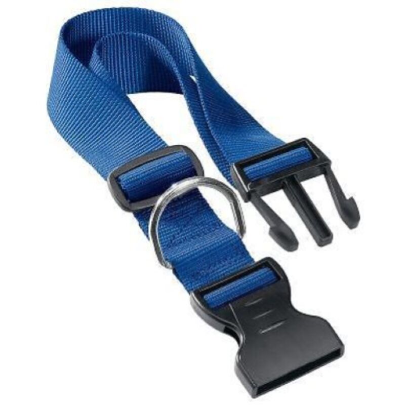 foto del prodotto collare per cane cani club blu regolabile 36 56 cm nylon articoli animali